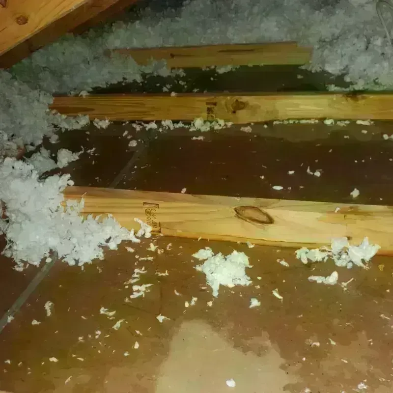 Attic Water Damage in Encinitas, CA