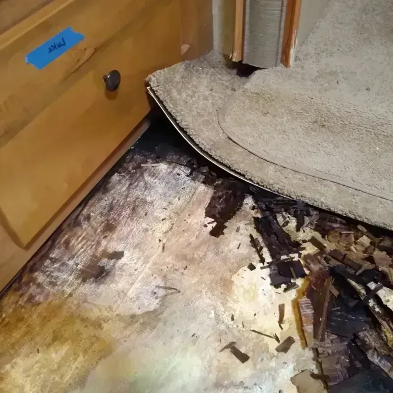 Wood Floor Water Damage in Encinitas, CA